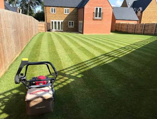 Grass Cutting